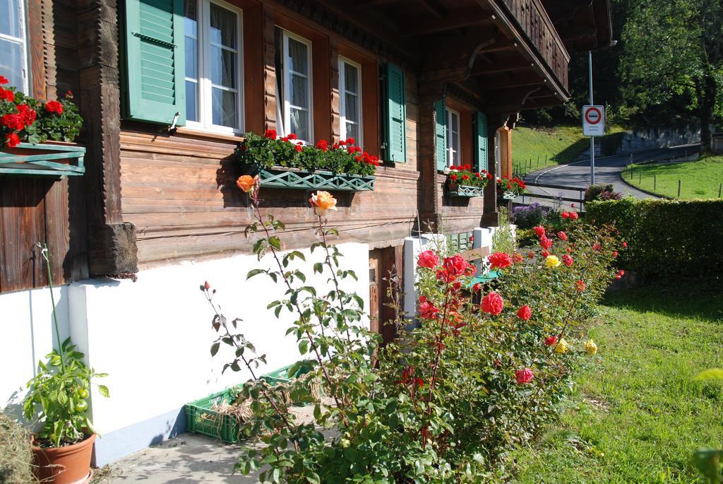 Chalet Tuftbach Apartman Grindelwald Kültér fotó